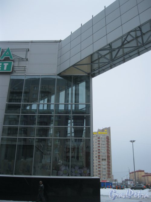 Ул. Савушкина, дом 126. Вид с Беговой ул. на фрагмент здания. Фото 8 января 2015 г.