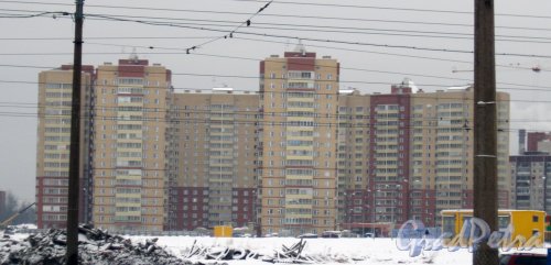 Ул. Бадаева, дом 14. Общий вид зданий с ул. Коллонтай. Фото 28 января 2015 г.
