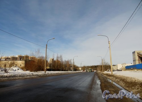 Перспектива Ново-Никитинской улицы от Автобусной улицы в сторону Шуваловского проспекта. Фото 11 февраля 2015 года.