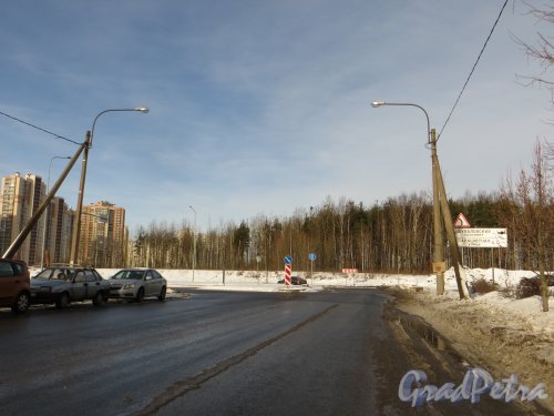 Перекрёсток Ново-Никитинской улицы и Шуваловского проспекта. Фото 11 февраля 2015 года.