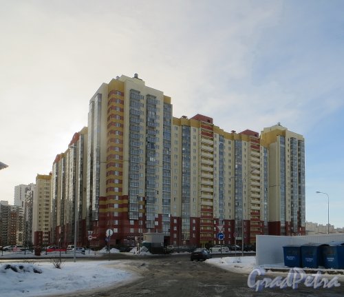 Долгоозерная улица, комплекс домов 31-33-35. Вид со стороны бензоколонки «Газпром». Фото 11 февраля 2015 года.