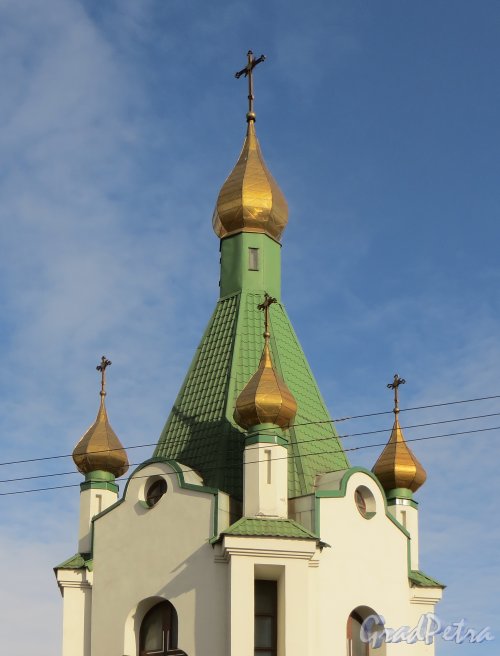 Предпортовая улица, дом 1а. Церковь Святителя Николая чудотворца. Главки храма. Фото 6 марта 2015 года.