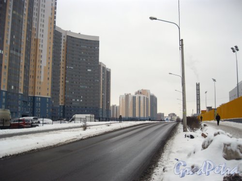 Нерчинская ул. Перспектива от ул. Коллонтай в сторону ул. Подвойского. Фото 28 января 2015 г.