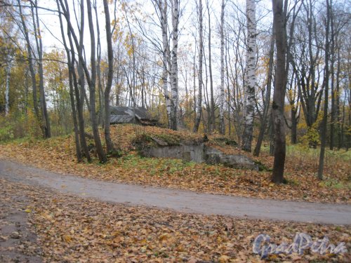 Г. Ломоносов, Мордвиновка, ул. Левитана, дом 2. Остатки погреба бывшей усадьбы Мордвиновка. Фрагмент. Фото 16 октября 2014 г.