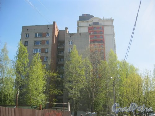 Ул. Лёни Голикова, дом 15, корпус 4. Фрагмент здания. Вид из парка «Александрино». Фото 10 мая 2015 г.