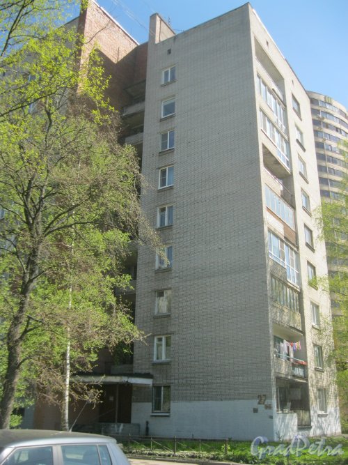 Ул. Лёни Голикова, дом 27, корпус 6. Вид из парка «Александрино». Фото 10 мая 2015 г.