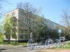 Ул. Козлова, дом 33, корпус 1. Вид из парка «Александрино». Фото 10 мая 2015 г.