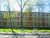 Ул. Козлова, дом 37,корпус 1. Фрагмент здания школы. Вид из парка «Александрино». Фото 10 мая 2015 г.