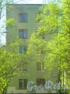 Ул. Козлова, дом 41, корпус 2. Общий вид с чётной стороны улицы. Фото 10 мая 2015 г.