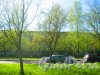 Ул. Козлова, дом 47, корпус 1. Фрагмент здания. Вид из парка «Александрино». Фото 10 мая 2015 г.