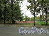 город Ломоносов, Манежная улица, дом 3, литера А. Стадион, вид с Манежной улицы. Фото 19 сентября 2015 года.