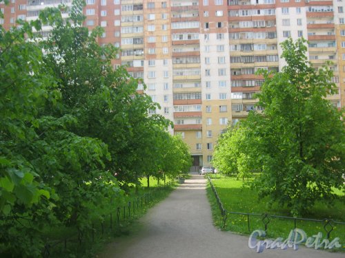 Ул. Маршала Захарова, дом 60. Вид на дом с детской площадки. Фото июнь 2015 г.