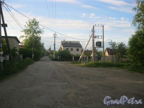 Пос. Торики, Ленинградская ул. Вид с Аннинского шоссе в сторону садоводств. Фото 8 июня 2015 г.