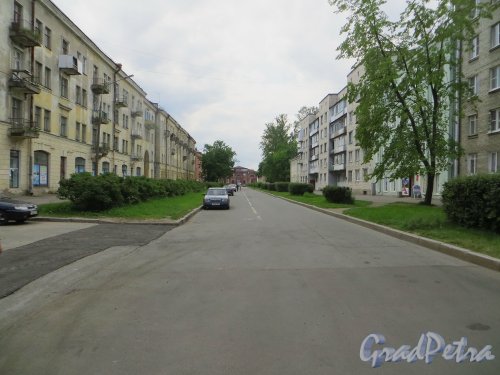 город Кронштадт, перспектива Красной улицы от Манежного переулка в сторону Петровской улицы. Фото 22 июня 2015 года.