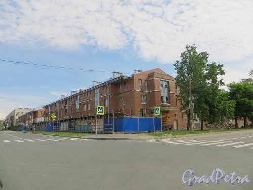 город Кронштадт, улица Сургина, дом 14. Вид на строительство жилого комплекса «Амазонка» со стороны улицы Зосимова. Фото 22 июня 2015 года.