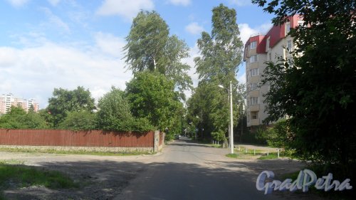 Улица Эстонская. Панорама улицы в сторону Новоколомяжского проспекта. Фото 1 июля 2015 года.