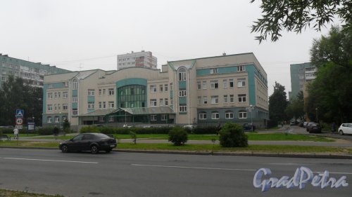 Улица Симонова, дом 5, корпус 1. Городская поликлиника №117. Фото 7 августа 2015 года.