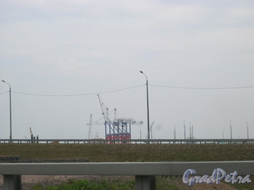 г. Ломоносов, ул. Евгения Ефета, дом 3. Вид с КАД на часть контейнерного терминала №1 «Бронка». Фото 26 августа 2015 г.