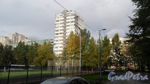 Улица Шостаковича, дом 5, корпус 3. 15-этажный жилой дом 1981 года постройки серии 1-ЛГ600А. 90 квартир. Фото 28 сентября 2015 года.