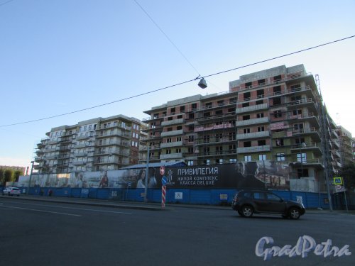Вязовая улица, дом 8, литера А. Строительство жилого комплекса «Привилегия». Вид со стороны Петроградской улицы. Фото 11 октября 2015 года.