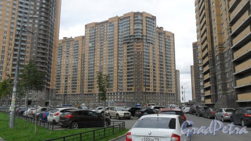 Парголово, улица Николая Рубцова, дом 11,корпус 1. 27-этажный жилой дом 2014 года постройки. В здании расположены: салон красоты 