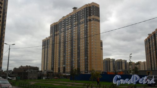 пос. Парголово, улица Федора Абрамова, дом 8. 27-этажный жилой дом 2013 года постройки.