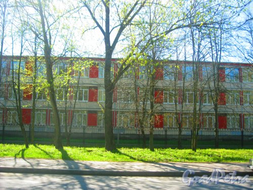 Ул. Козлова, дом 37, корпус 1. Фрагмент здания школы. Вид из парка «Александрино». Фото 10 мая 2015 г.