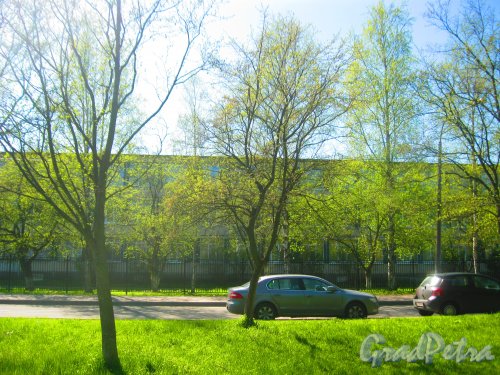 Ул. Козлова, дом 47, корпус 1. Фрагмент здания. Вид из парка «Александрино». Фото 10 мая 2015 г.