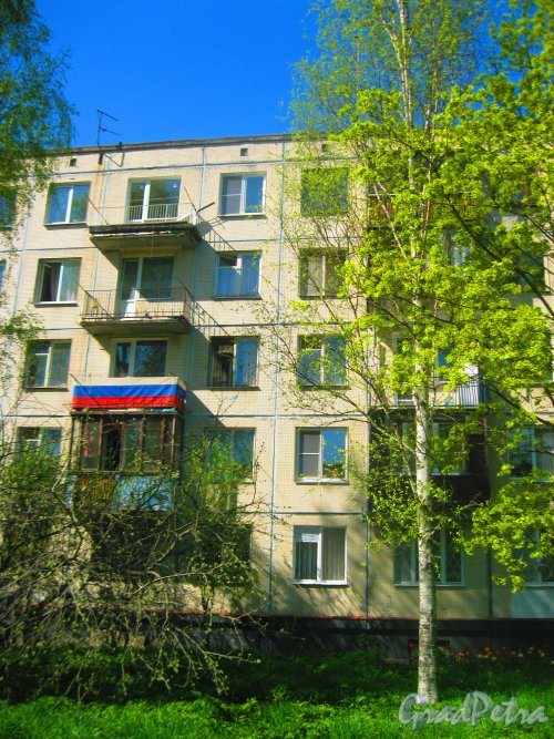 Ул. Козлова, дом 51, корпус 2. Фрагмент фасада. Фото 10 мая 2015 г.