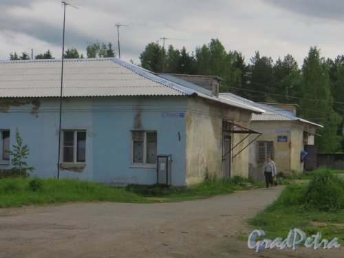 Ленинградская область, Всеволожский район, деревня Васкелово. Вид на дома 31 и 32 по Автоколонной улице. Фото 2 июня 2015 года.