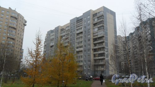 Улица Шаврова, дом 15. 12-этажный жилой дом 137 серии 1989 года постройки. 4 парадные. 236 квартир. Вид дома со двора. Фото 6 ноября 2015 года.
