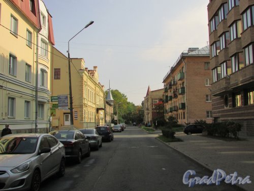 Перспектива Еленинской улицы от Владимирской улицы в сторону улицы Ломоносова. Фото 18 сентября 2015 года.