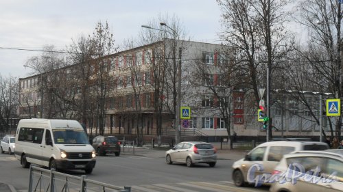Школьная улица, дом 19. Средняя общеобразовательная школа №53 Приморского района. Фото 26 ноября 2015 года.