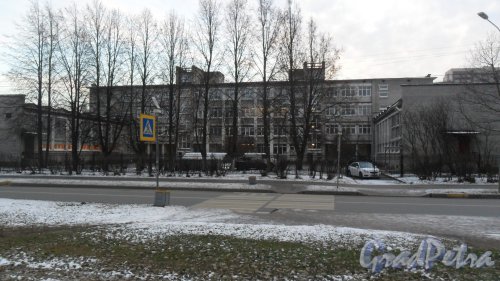 Школьная улица, дом 66. Средняя общеобразовательная школа №44 Приморского района. Фото 26 ноября 2015 года.