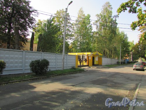 город Ломоносов, улица Костылева, дом 15. Ограждение участка со стороны улицы. Фото 18 сентября 2015 года.