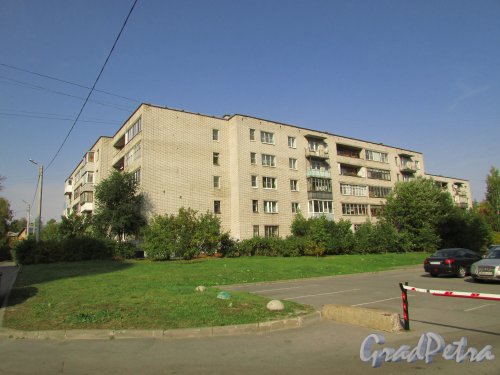 город Ломоносов, улица Костылева, дом 16. Общий вид жилого дома. Фото 18 сентября 2015 года.