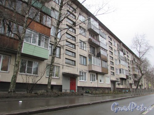 улица Костюшко, дом 13, корпус 1. 5-этажный панельный жилой дом 1971 года постройки. Общий вид фасада по улице Костюшко. Фото 2 декабря 2015 года.