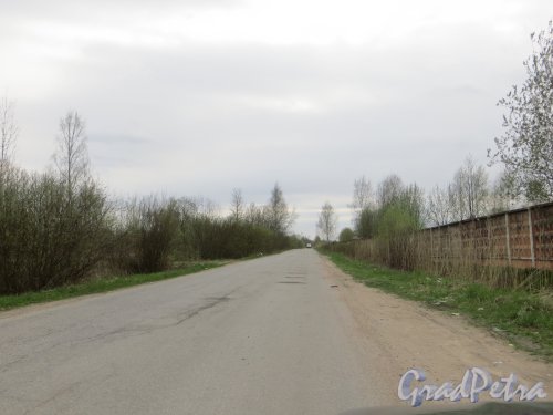 Посёлок Торики. Перспектива улицы Генерала Лагуткина от Гореловского озера в сторону в/ч 13821. Фото 5 мая 2015 года.