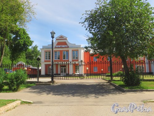 город Сестрорецк, улица Коммунаров, дом 16. Фрагмент фасада здания. Фото 27 июля 2015 года.
