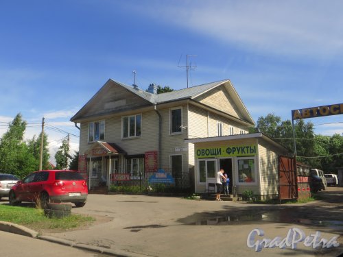 город Сестрорецк, улица Коммунаров, дом 24. Общий вид участка. Фото 27 июля 2015 года.