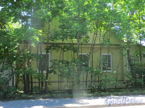 город Сестрорецк, улица Коммунаров, дом 44. Фасад жилого дома. Фото 27 июля 2015 года.