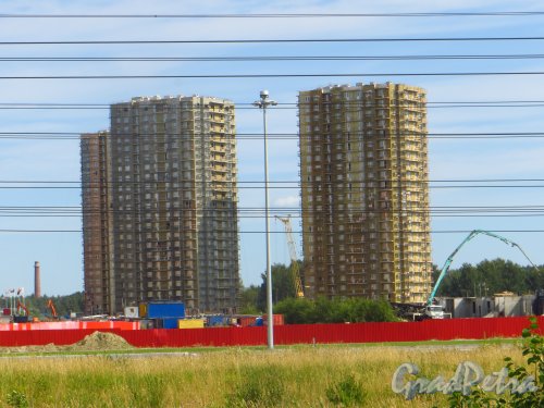 Жилой комплекс «Новая Охта». Строительство домов на нечетной стороне улицы Корнея Чуковского. Фото 6 августа 2015 года.