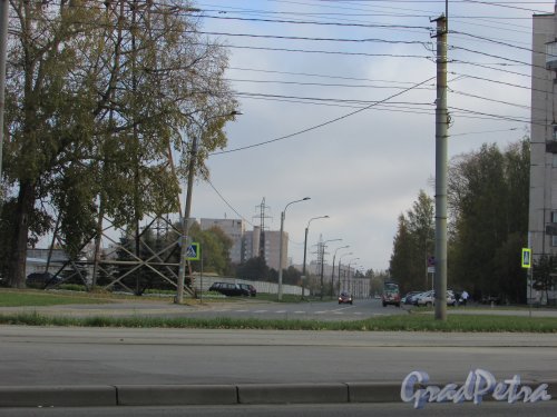 Перспектива улицы Академика Байкова от Тихорецкого проспекта в сторону Светлановского проспекта. Фото 13 октября 2015 года.