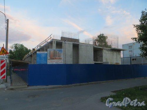 Волковский проспект, дом 13. Общий вид строительной площадки. Фото 6 июня 2015 года.