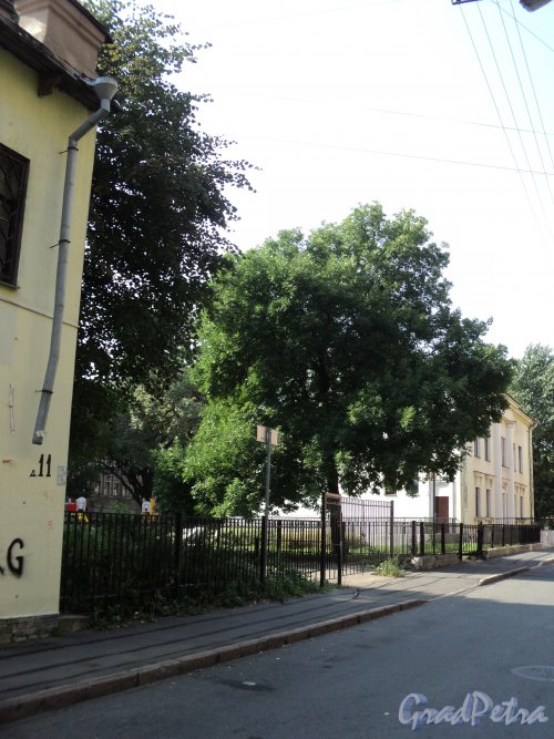 Плуталова улица, дом 9. Территория Детского сада № 25 Петроградского района. Фото 28 августа 2011 года.