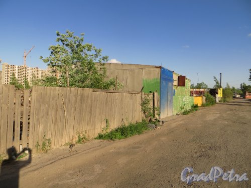 Общий вид Свирской улицы у проспекта Космонавтов. Фото 7 июня 2015 года.