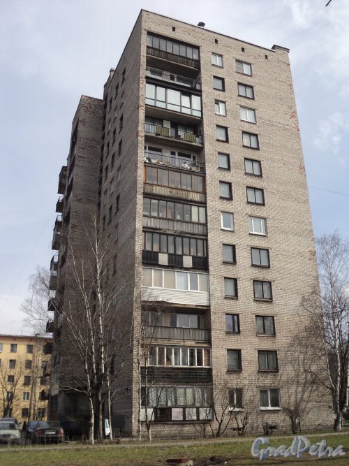 улица Громова, дом 6. Фасад жилого дома со стороны Заневского парка. Фото 12 апреля 2011 года.