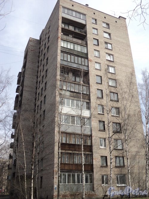 улица Громова, дом 8. Фасад жилого дома со стороны Заневского парка. Фото 12 апреля 2011 года.