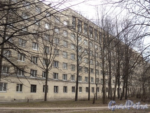 улица Громова, дом 12. Фасад жилого дома со стороны Заневского парка. Фото 12 апреля 2011 года.