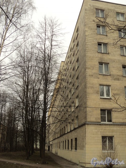 улица Громова, дом 12. Фасад здания со стороны Заневского парка в сторону Рижской улицы. Фото 12 апреля 2011 года.